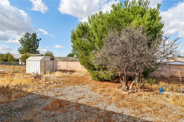 view of yard with a storage shed