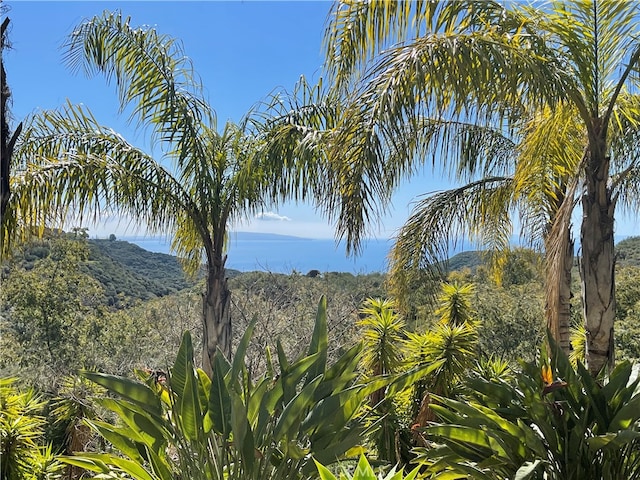 view of landscape featuring a mountain view