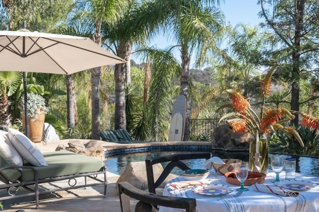 view of swimming pool featuring a patio area