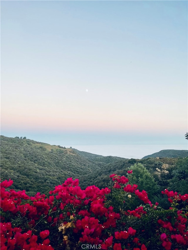 property view of mountains