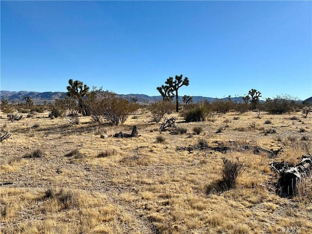 Listing photo 3 for 4726 Paradise View Rd, Yucca Valley CA 92284