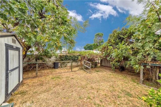 view of yard with a storage unit