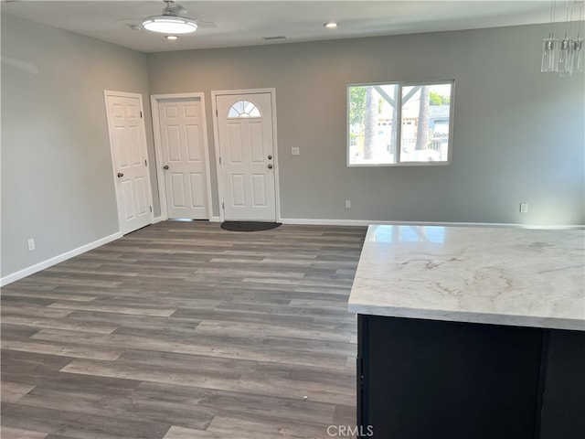 entrance foyer featuring dark hardwood / wood-style flooring