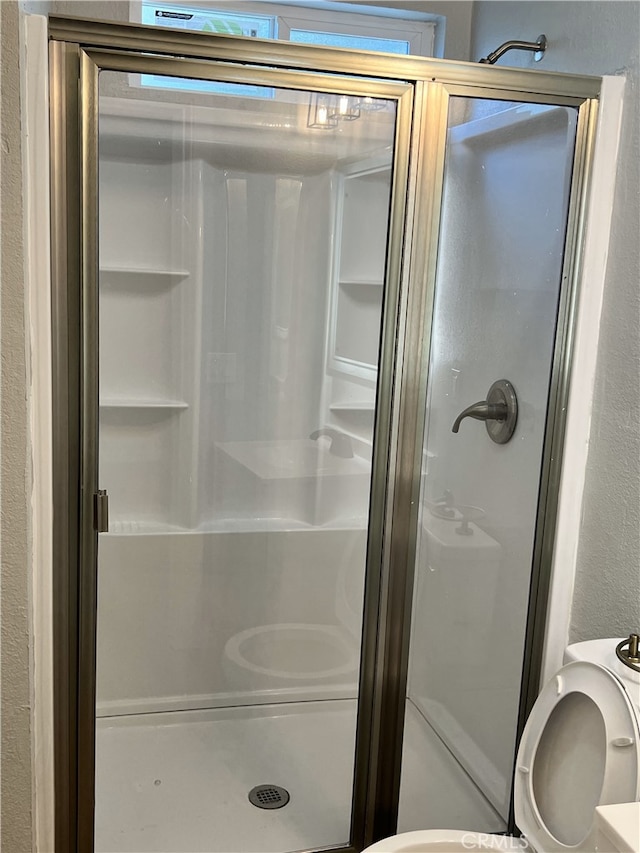 bathroom featuring a shower with shower door