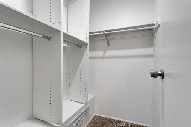 walk in closet with carpet floors