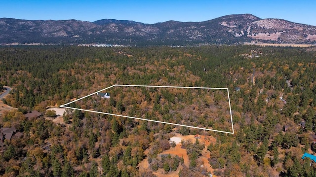 birds eye view of property featuring a mountain view