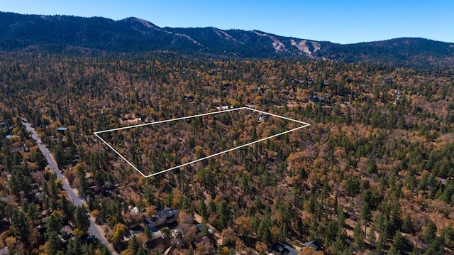 aerial view featuring a mountain view