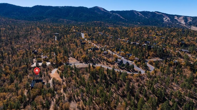 drone / aerial view featuring a mountain view