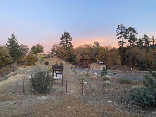 view of yard at dusk