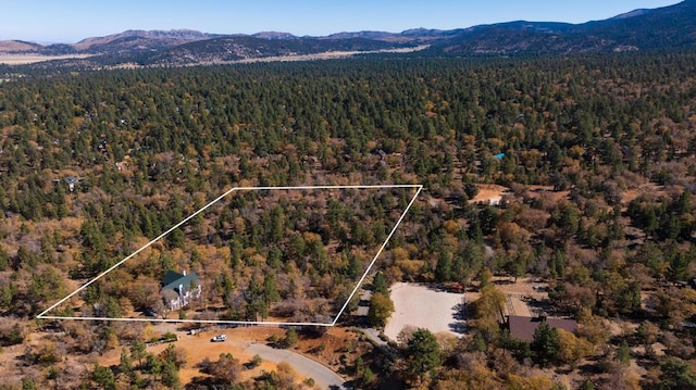 bird's eye view featuring a mountain view