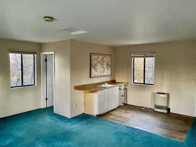 kitchen featuring sink, white cabinetry, and light colored carpet