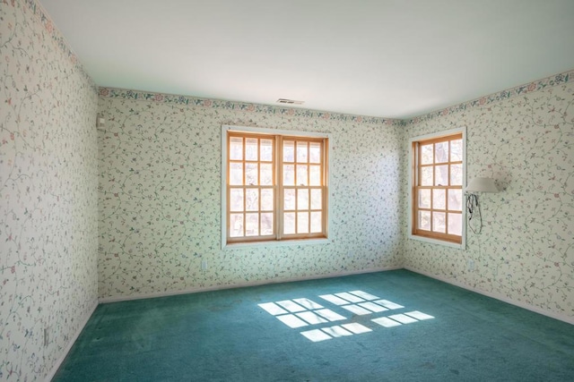 spare room with a wealth of natural light and carpet