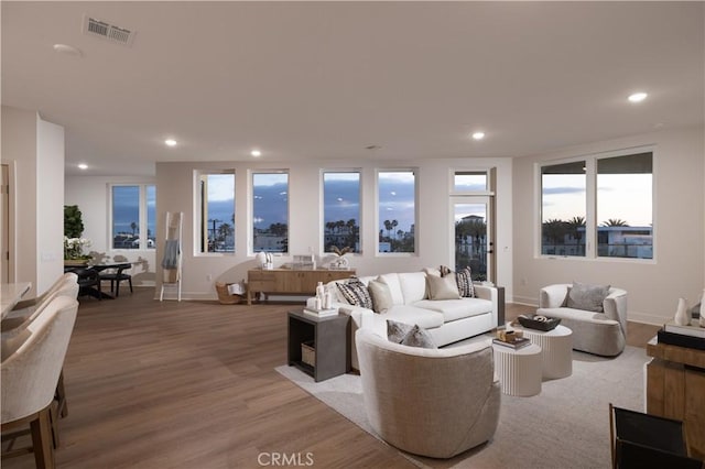 living room featuring hardwood / wood-style floors