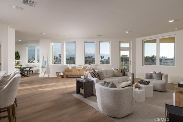 living room featuring light wood-type flooring and plenty of natural light