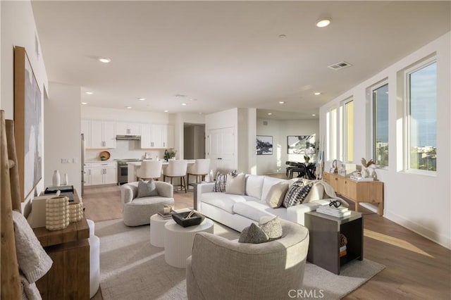 living room with wood-type flooring