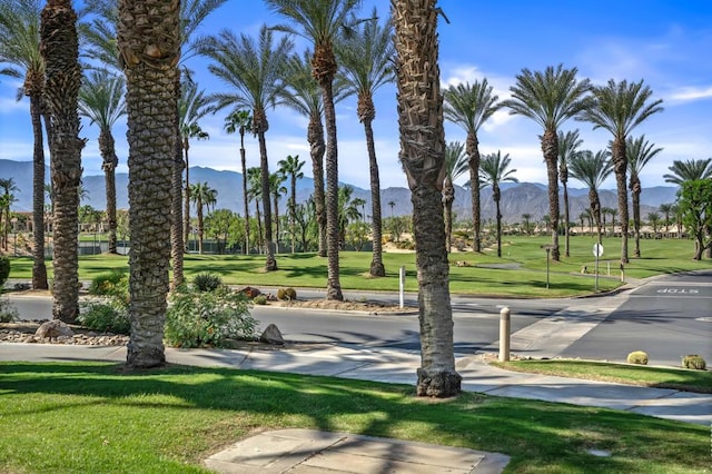 view of community with a lawn and a mountain view