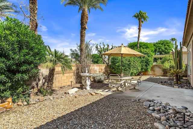 view of yard with a patio