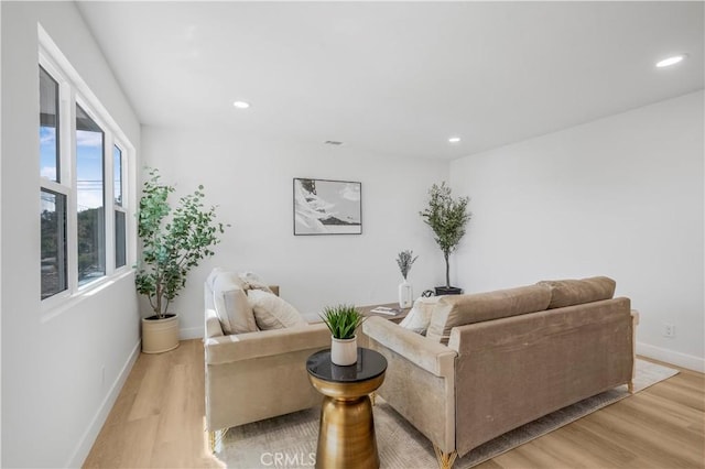 living room with light wood-type flooring