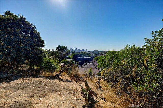 1947 Delta St, Los Angeles, CA 90026 - photo 48