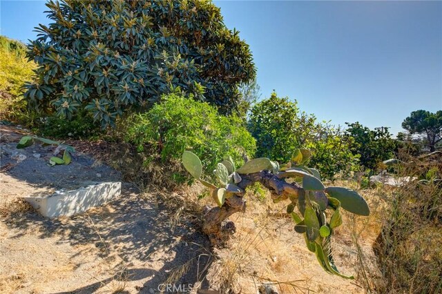 1947 Delta St, Los Angeles, CA 90026 - photo 41