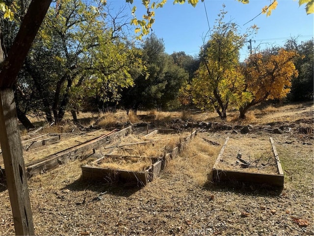 view of local wilderness