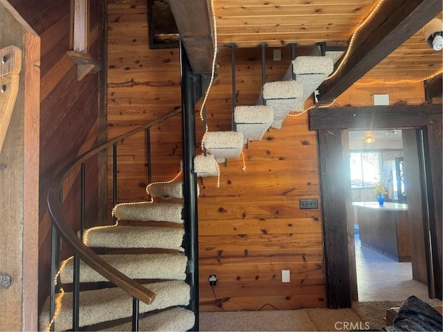 staircase featuring carpet flooring, wooden walls, and wooden ceiling