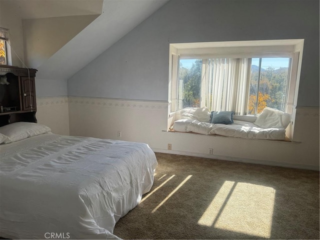 carpeted bedroom featuring lofted ceiling