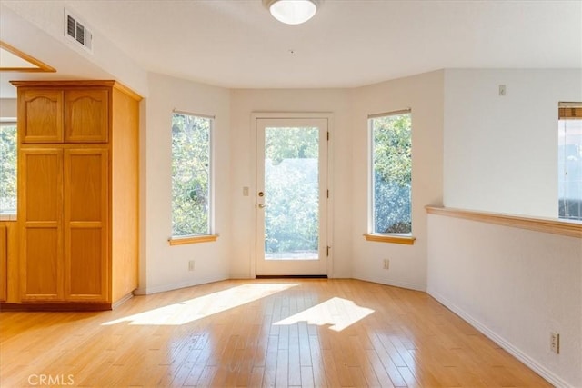 doorway featuring light wood-type flooring and a wealth of natural light