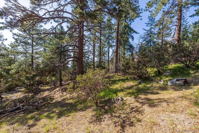 Listing photo 3 for 0 Logan Creek Dr, Idyllwild CA 92549