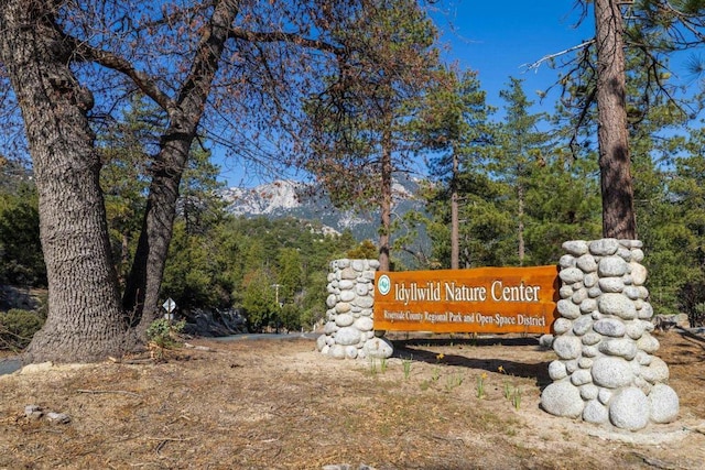 0 Logan Creek Dr, Idyllwild CA, 92549 land for sale