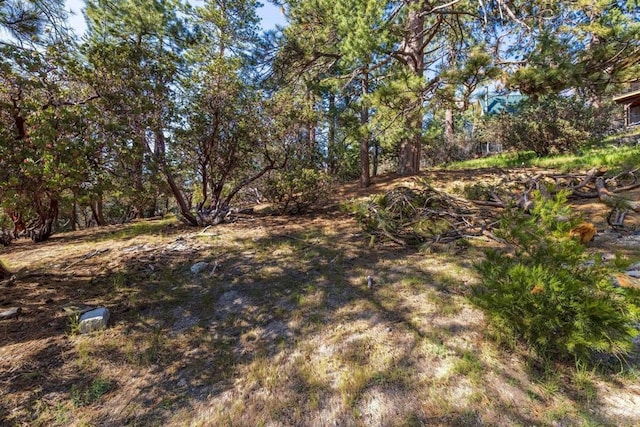 Listing photo 2 for 0 Logan Creek Dr, Idyllwild CA 92549