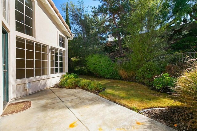 view of yard with a patio area