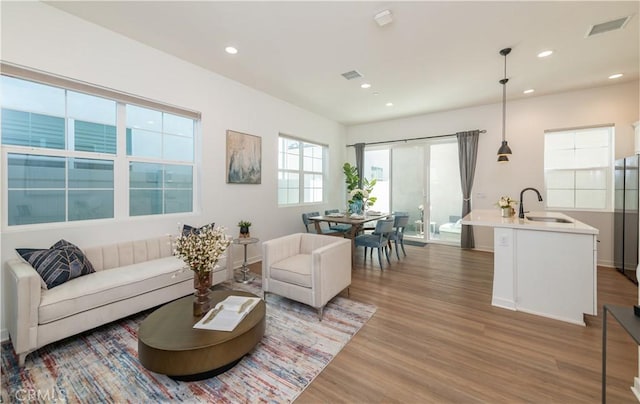 living room with sink and dark wood-type flooring