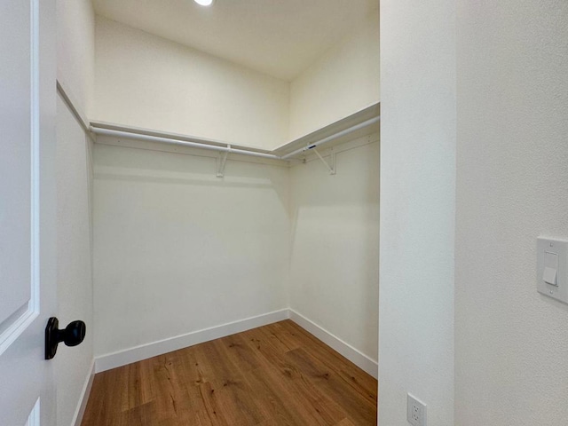 spacious closet with wood-type flooring