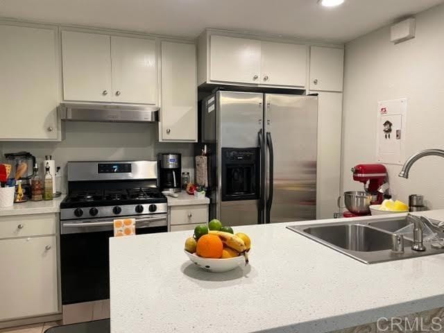 kitchen featuring ventilation hood, white cabinetry, sink, and appliances with stainless steel finishes