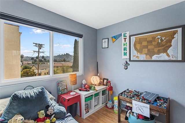 recreation room featuring wood-type flooring