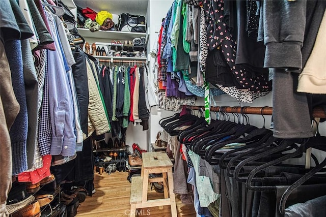 walk in closet with wood-type flooring