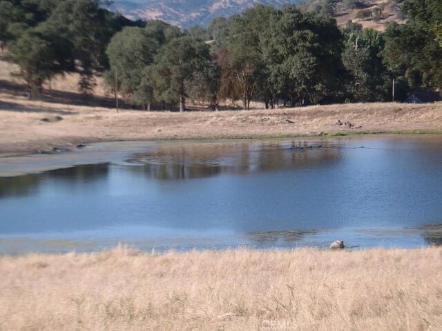 35294 Ruth Hill Rd, Squaw Valley, CA 93675 - water view