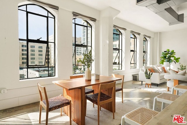 dining area with plenty of natural light