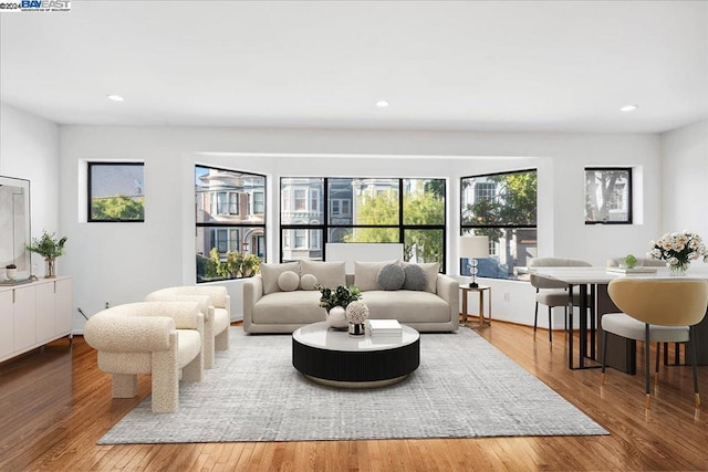 living room featuring hardwood / wood-style floors