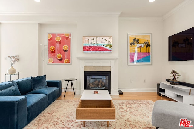 living room with a fireplace, wood-type flooring, and crown molding