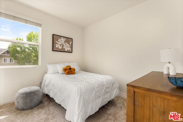 bedroom with carpet