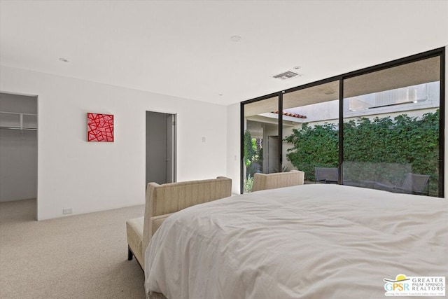 bedroom featuring a wall of windows and a closet