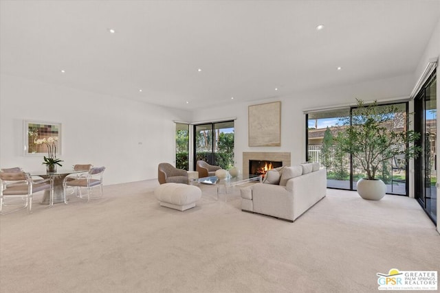 living room featuring plenty of natural light and light carpet