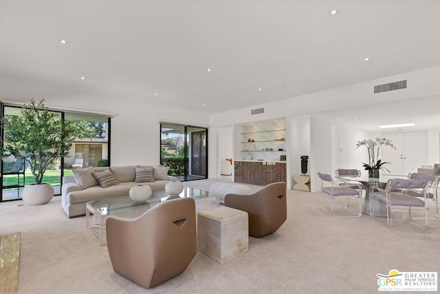 carpeted living room with built in shelves