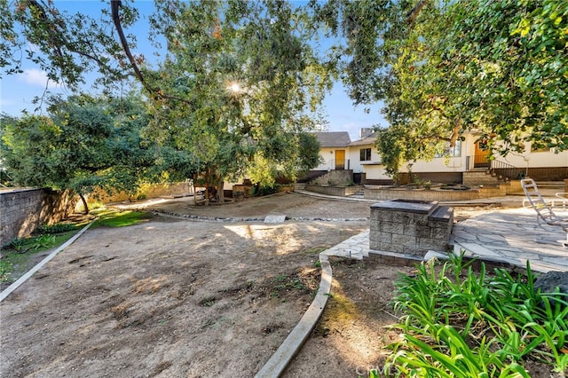 view of yard with a patio area