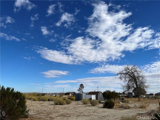 view of local wilderness