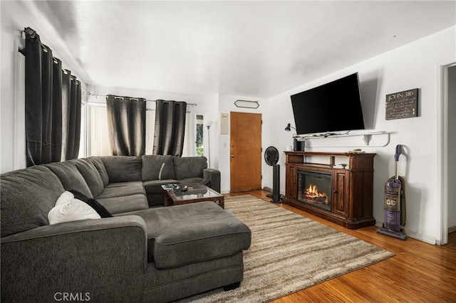 living room featuring hardwood / wood-style floors