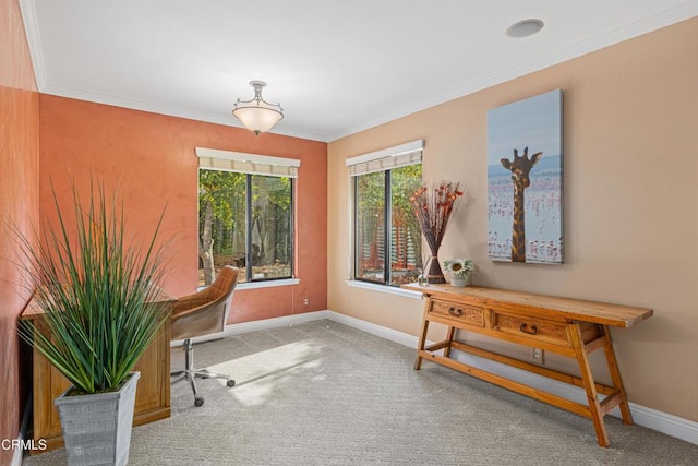 home office with ornamental molding and carpet