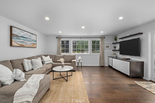 living room with dark wood-type flooring